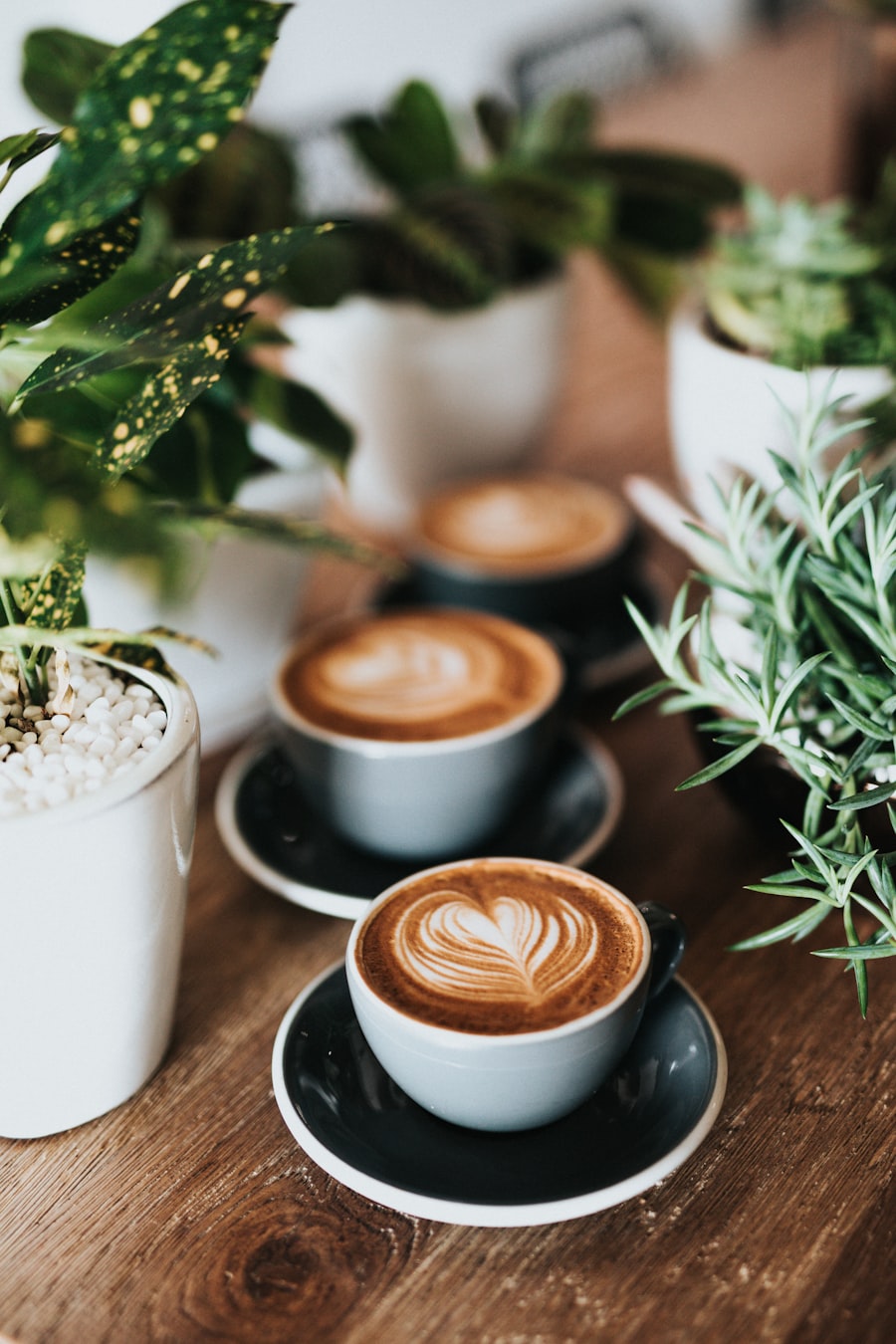 Chứng Chỉ Sơ Cấp Kỹ Thuật Pha Chế Tổng Hợp & Quản Lý Quán Cafe (1–2 Tháng)